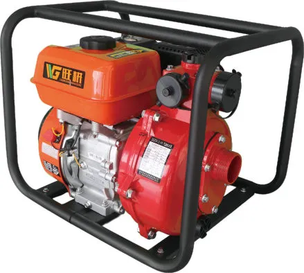 Water pumps — factory sample photo